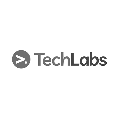 TechLabs logo 2_grijs05